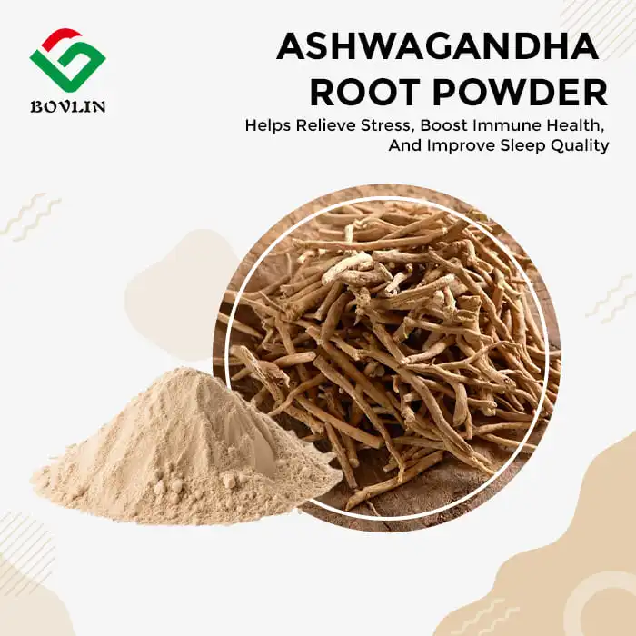 Ashwagandha Root Extract Powder